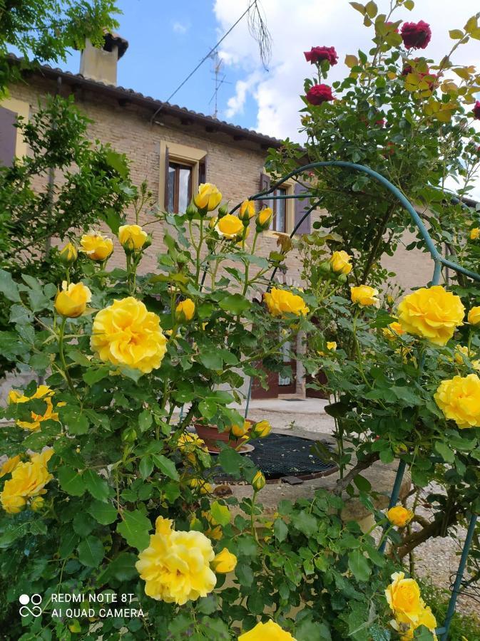 לינה וארוחת בוקר Ravarino La Rosa Selvatica מראה חיצוני תמונה