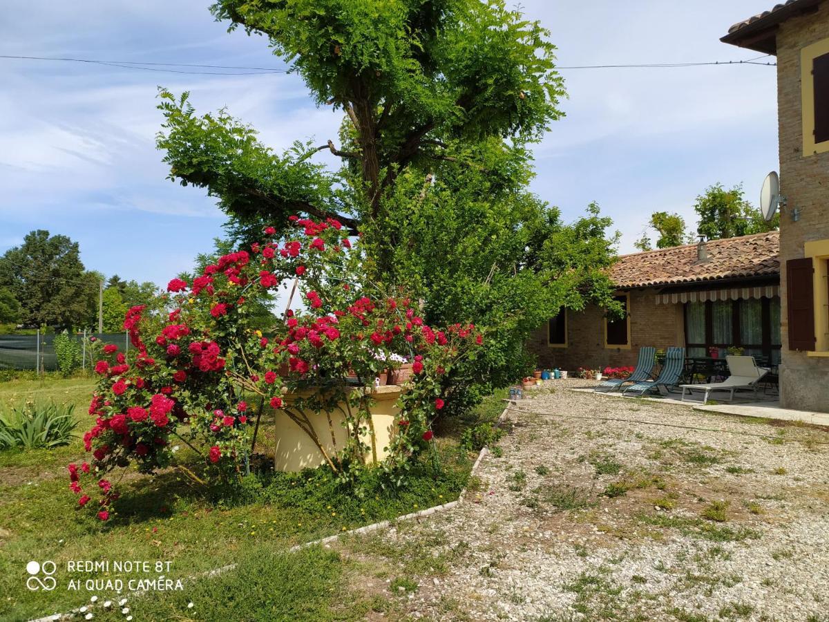 לינה וארוחת בוקר Ravarino La Rosa Selvatica מראה חיצוני תמונה